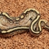 Butter Furrow Bling Yellowbelly het Clown (Male)